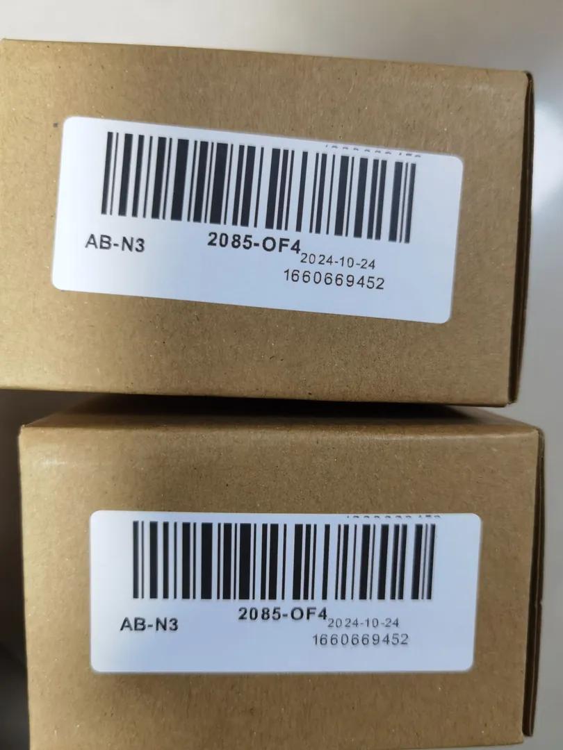 Analog output module (4)